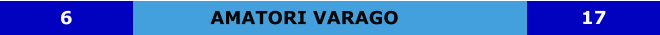 AMATORI VARAGO 6 17